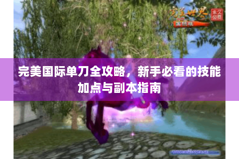 完美国际单刀全攻略，新手必看的技能加点与副本指南