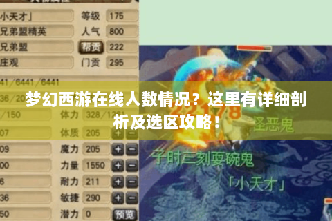 梦幻西游在线人数情况？这里有详细剖析及选区攻略！