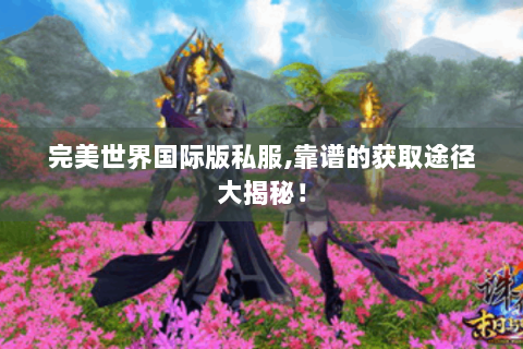 完美世界国际版私服,靠谱的获取途径大揭秘！