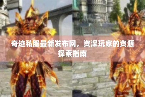 奇迹私服最新发布网，资深玩家的资源探索指南