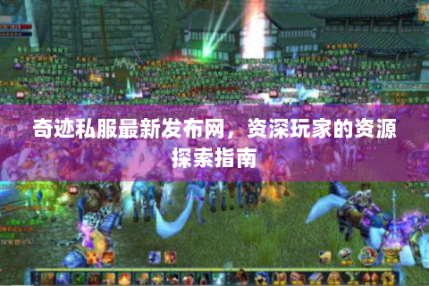 奇迹私服最新发布网，资深玩家的资源探索指南