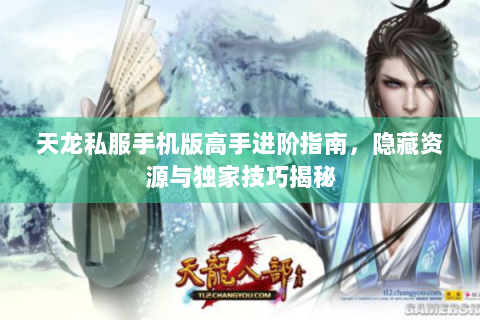 天龙私服手机版高手进阶指南，隐藏资源与独家技巧揭秘