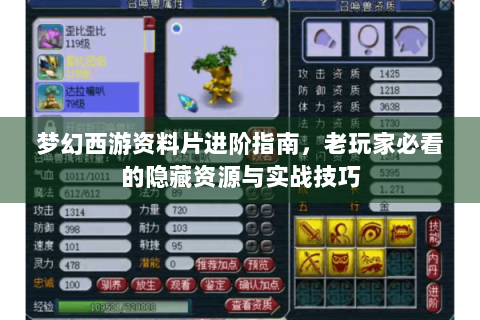 梦幻西游资料片进阶指南，老玩家必看的隐藏资源与实战技巧