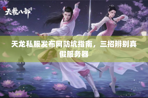 天龙私服发布网防坑指南，三招辨别真假服务器