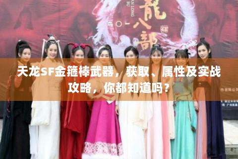 天龙SF金箍棒武器，获取、属性及实战攻略，你都知道吗？