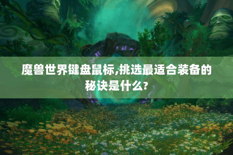 魔兽世界键盘鼠标,挑选最适合装备的秘诀是什么?