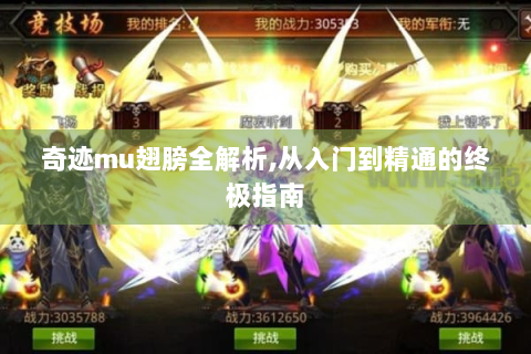 奇迹mu翅膀全解析,从入门到精通的终极指南