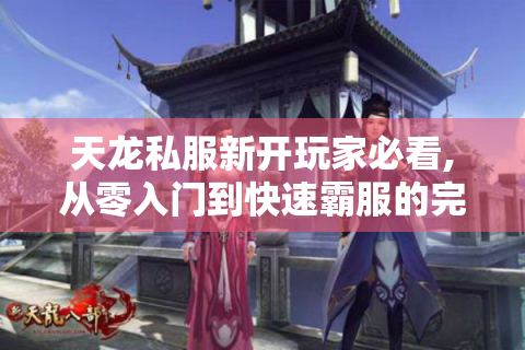 天龙私服新开玩家必看,从零入门到快速霸服的完整指南