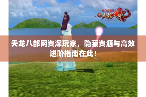 天龙八部网资深玩家，隐藏资源与高效进阶指南在此！