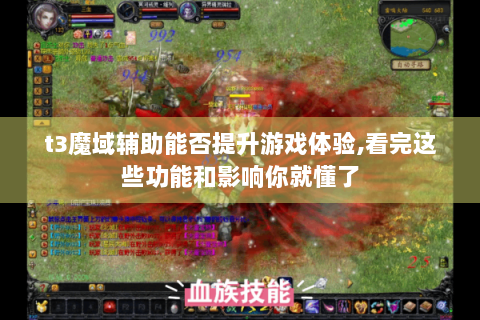 t3魔域辅助能否提升游戏体验,看完这些功能和影响你就懂了