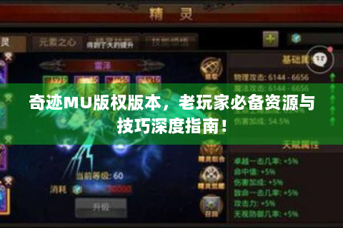 奇迹MU版权版本，老玩家必备资源与技巧深度指南！