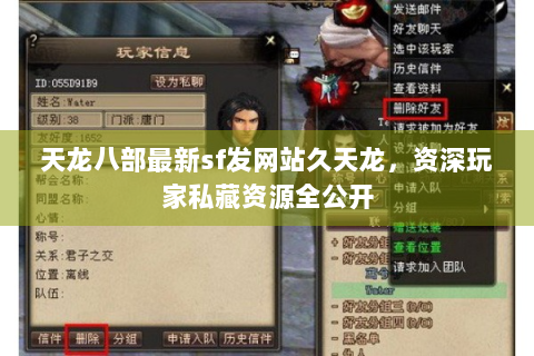 天龙八部最新sf发网站久天龙，资深玩家私藏资源全公开