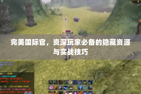 完美国际官，资深玩家必备的隐藏资源与实战技巧