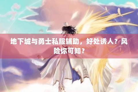 地下城与勇士私服辅助，好处诱人？风险你可知？