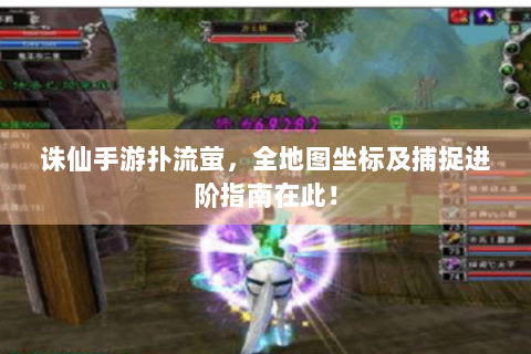 诛仙手游扑流萤，全地图坐标及捕捉进阶指南在此！