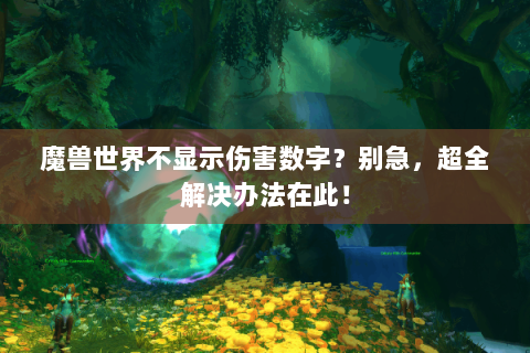 魔兽世界不显示伤害数字？别急，超全解决办法在此！