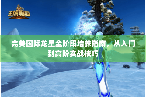 完美国际龙星全阶段培养指南，从入门到高阶实战技巧