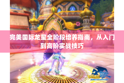 完美国际龙星全阶段培养指南，从入门到高阶实战技巧