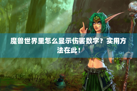 魔兽世界里怎么显示伤害数字？实用方法在此！