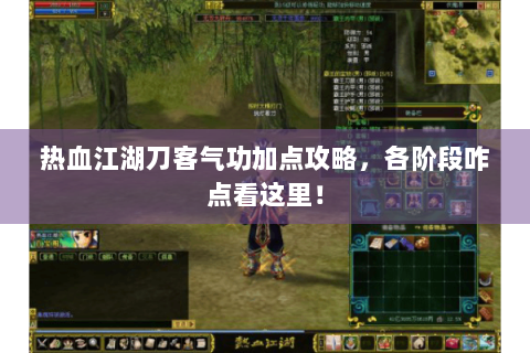 热血江湖刀客气功加点攻略，各阶段咋点看这里！