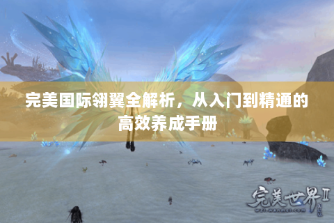 完美国际翎翼全解析，从入门到精通的高效养成手册