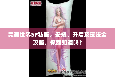 完美世界SF私服，安装、开启及玩法全攻略，你都知道吗？