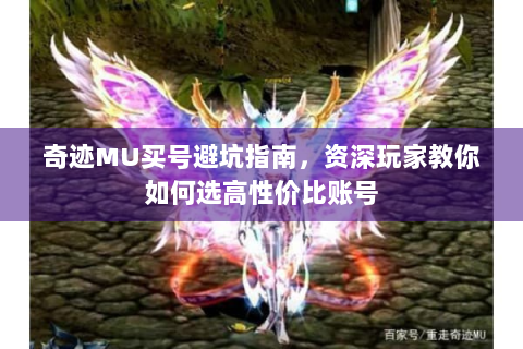 奇迹MU买号避坑指南，资深玩家教你如何选高性价比账号