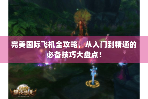 完美国际飞机全攻略，从入门到精通的必备技巧大盘点！