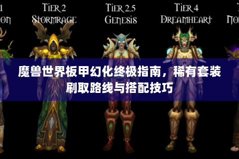 魔兽世界板甲幻化终极指南，稀有套装刷取路线与搭配技巧