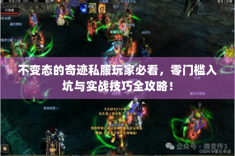 不变态的奇迹私服玩家必看，零门槛入坑与实战技巧全攻略！
