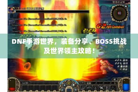 DNF手游世界，装备分享、BOSS挑战及世界领主攻略！