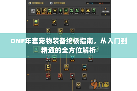 DNF年套宠物装备终极指南，从入门到精通的全方位解析