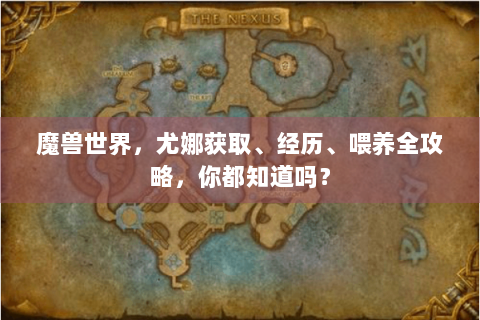 魔兽世界，尤娜获取、经历、喂养全攻略，你都知道吗？