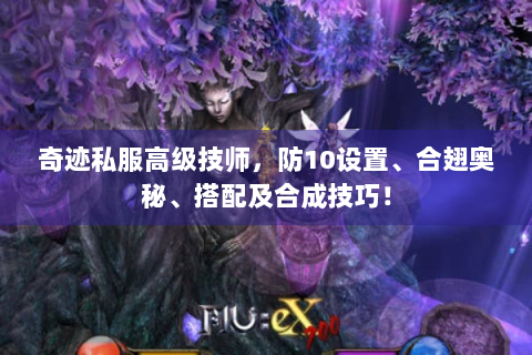奇迹私服高级技师，防10设置、合翅奥秘、搭配及合成技巧！
