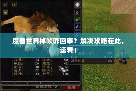魔兽世界掉帧咋回事？解决攻略在此，速看！