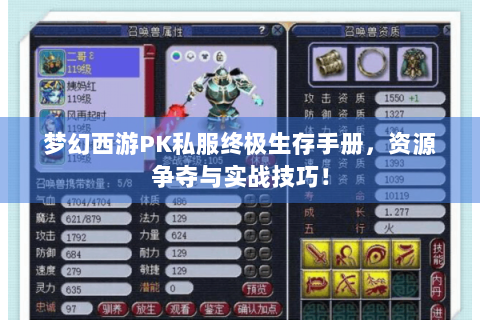 梦幻西游PK私服终极生存手册，资源争夺与实战技巧！