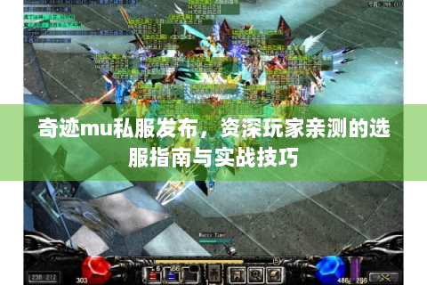 奇迹mu私服发布，资深玩家亲测的选服指南与实战技巧