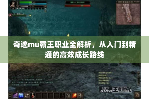 奇迹mu霸王职业全解析，从入门到精通的高效成长路线