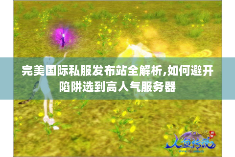 完美国际私服发布站全解析,如何避开陷阱选到高人气服务器
