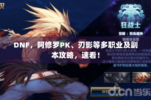 DNF，阿修罗PK、刃影等多职业及副本攻略，速看！
