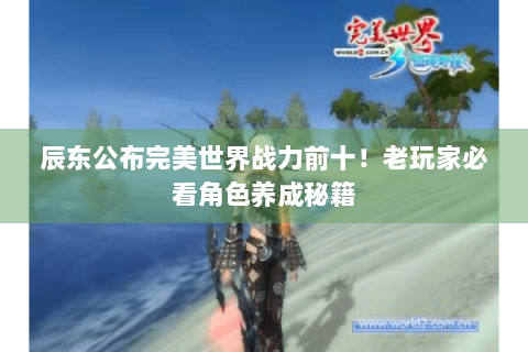 辰东公布完美世界战力前十！老玩家必看角色养成秘籍