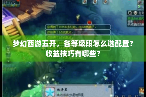 梦幻西游五开，各等级段怎么选配置？收益技巧有哪些？