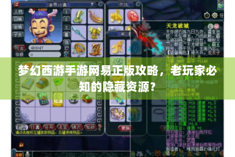 梦幻西游手游网易正版攻略，老玩家必知的隐藏资源？