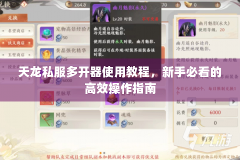 天龙私服多开器使用教程，新手必看的高效操作指南