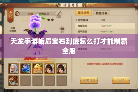 天龙手游峨眉宝石到底怎么打才能制霸全服