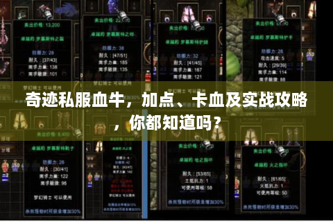 奇迹私服血牛，加点、卡血及实战攻略，你都知道吗？