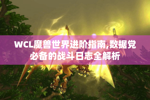 WCL魔兽世界进阶指南,数据党必备的战斗日志全解析