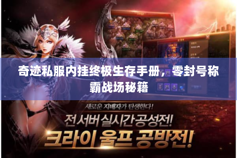 奇迹私服内挂终极生存手册，零封号称霸战场秘籍