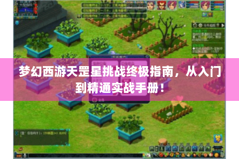 梦幻西游天罡星挑战终极指南，从入门到精通实战手册！