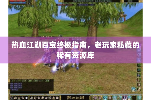 热血江湖百宝终极指南，老玩家私藏的稀有资源库